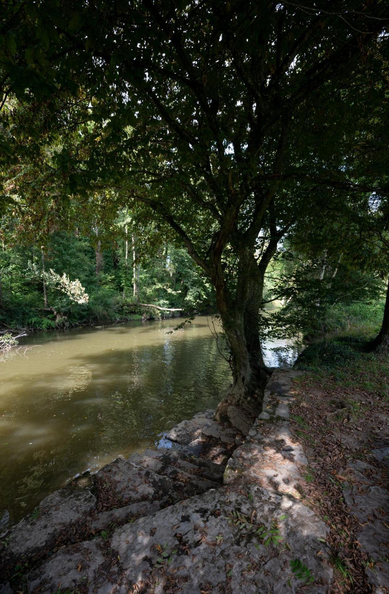 L'Arche De Noe Villa Dinant Kültér fotó