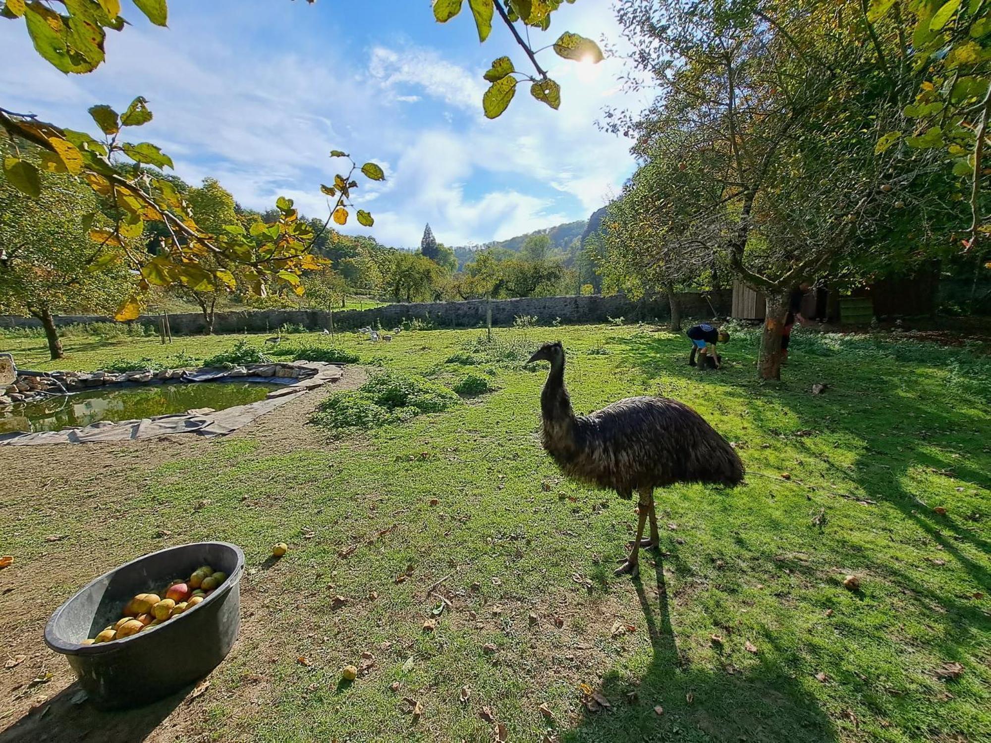 L'Arche De Noe Villa Dinant Kültér fotó